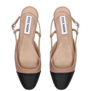 Steve Madden Women's Black and Tan Slingback Belinda Sandals